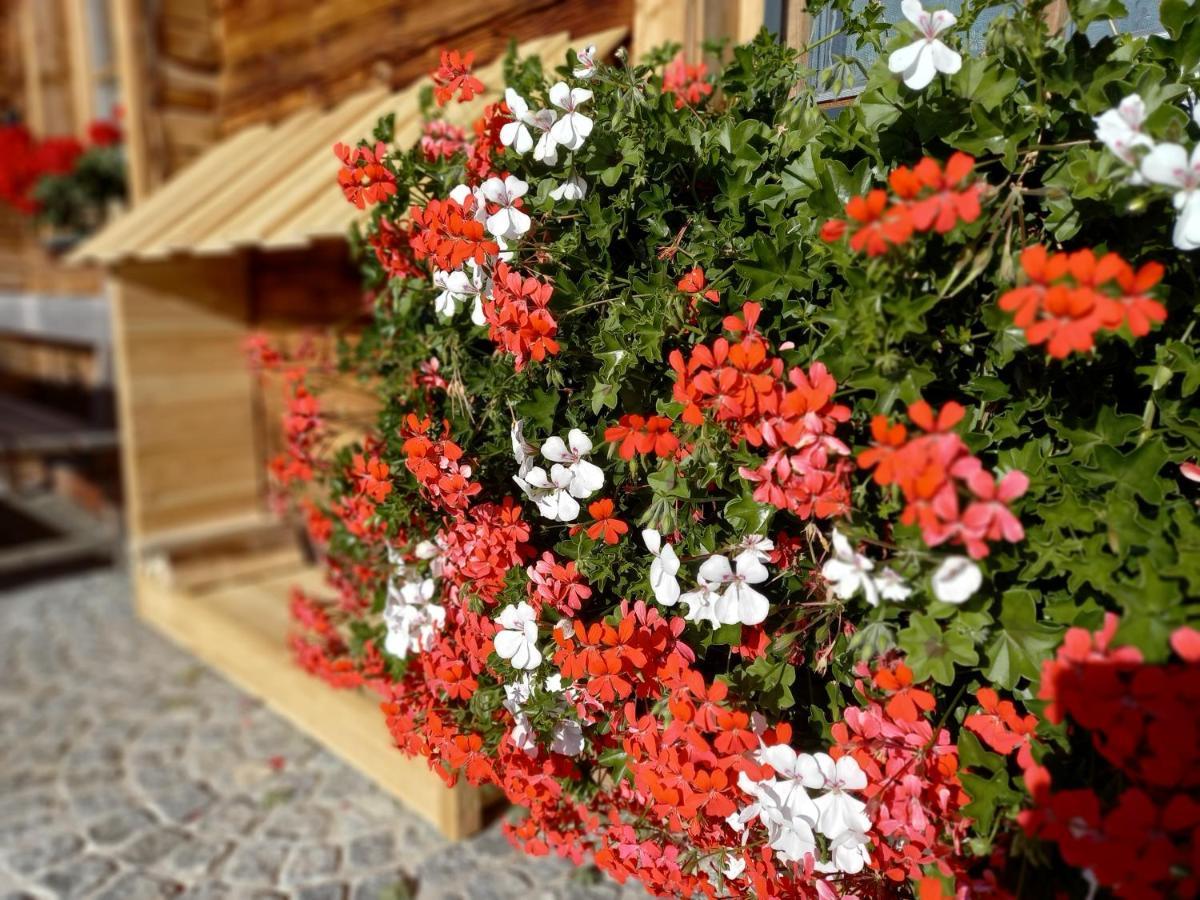 Chalet Almchalet Schuster